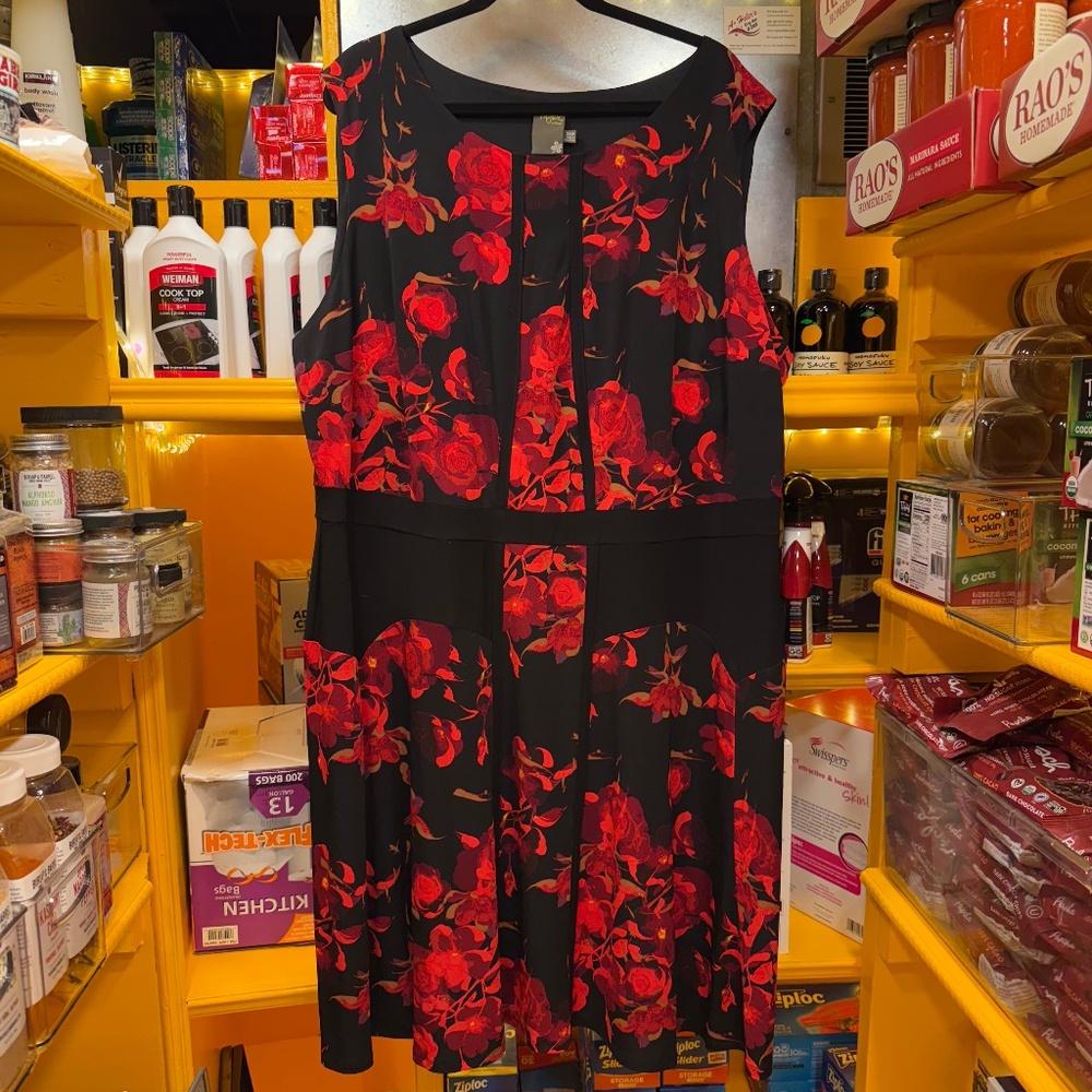 Black & Red Floral Taylor Dress, size 24, NWT
